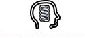Spring Creator
